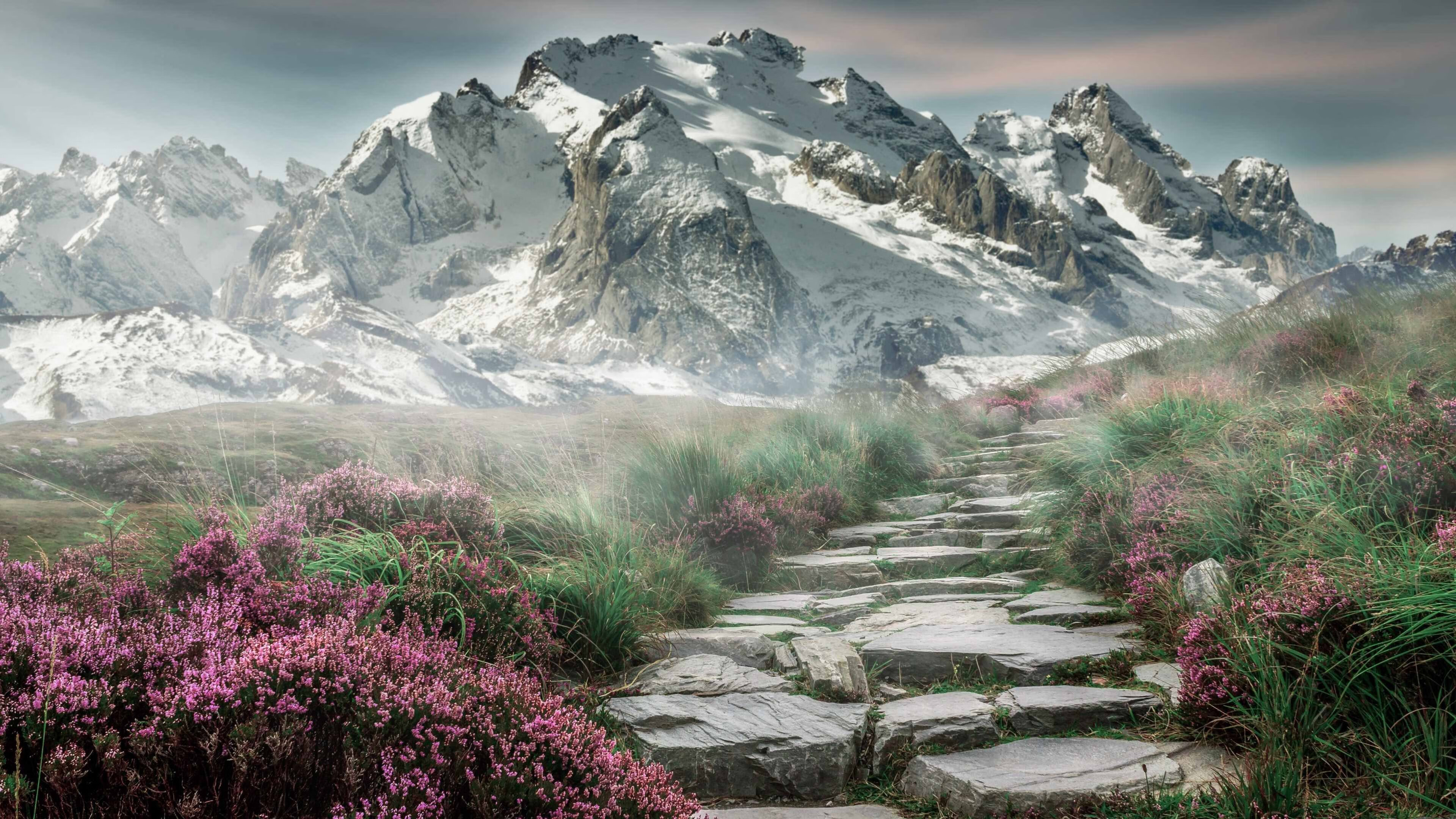 电竞投注平台-跨越新纪元，v7.2.5 版本正式发布，开启智能效率新篇章